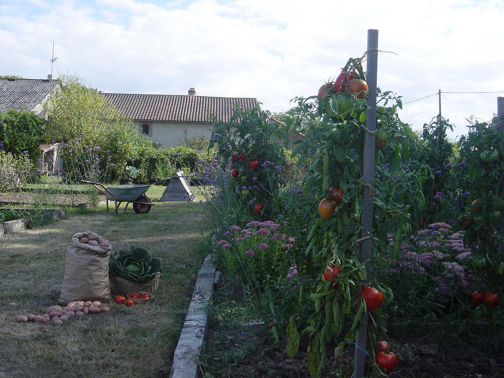 Villa Chez Tartaud Lathus St Remy Esterno foto